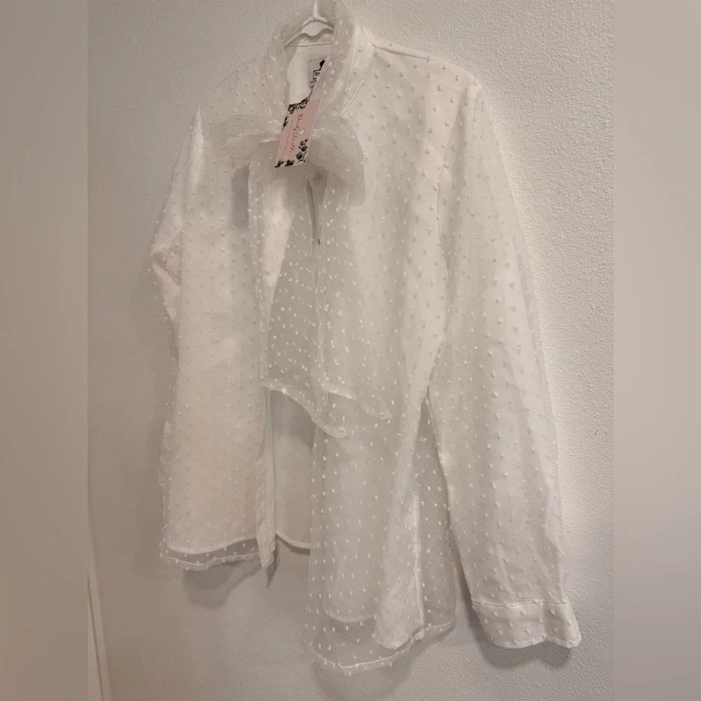 Elegant Dainty Jewells Sheer White Blouse with Bow - Picture 3 of 7